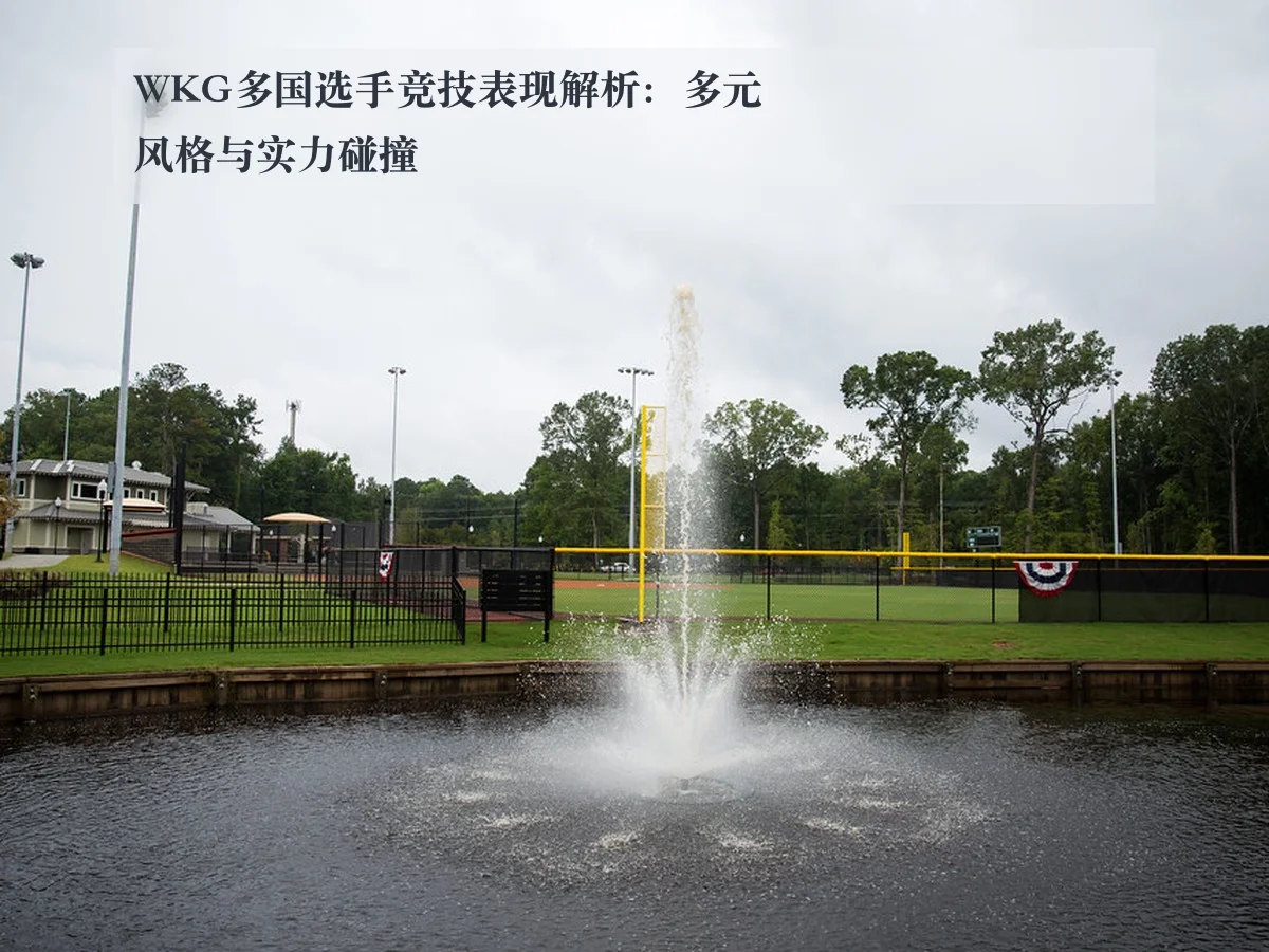 WKG多国选手竞技表现解析:多元风格与实力碰撞