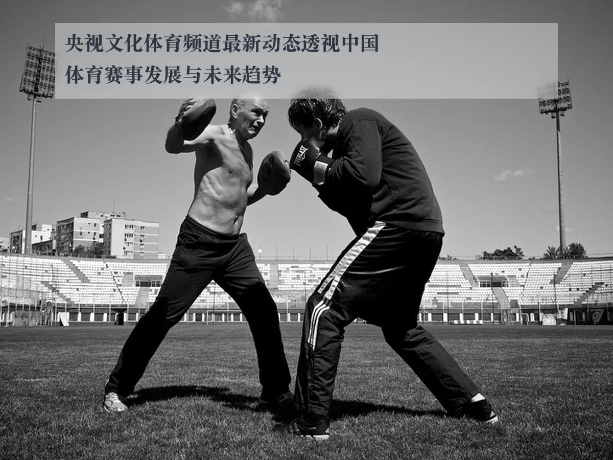 央视文化体育频道最新动态透视中国体育赛事发展与未来趋势